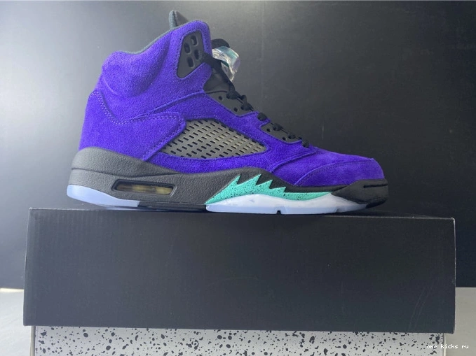 Chep Onekick Retro Air Alternate Grape 136027-500 Jordan 5 0719